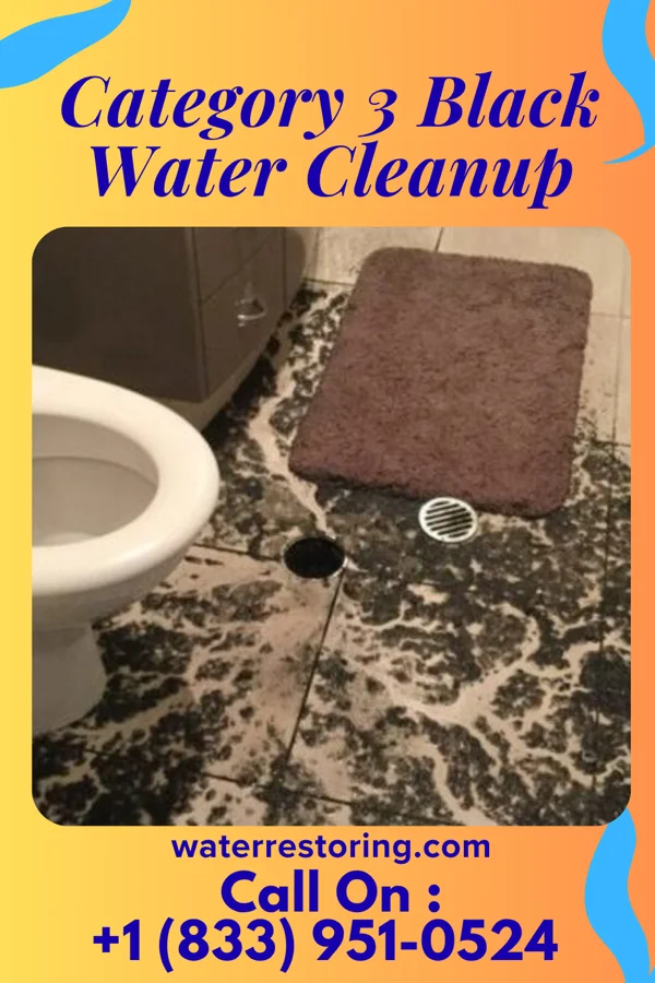 Category 3 Black Water Cleanup in Helemano, HI
