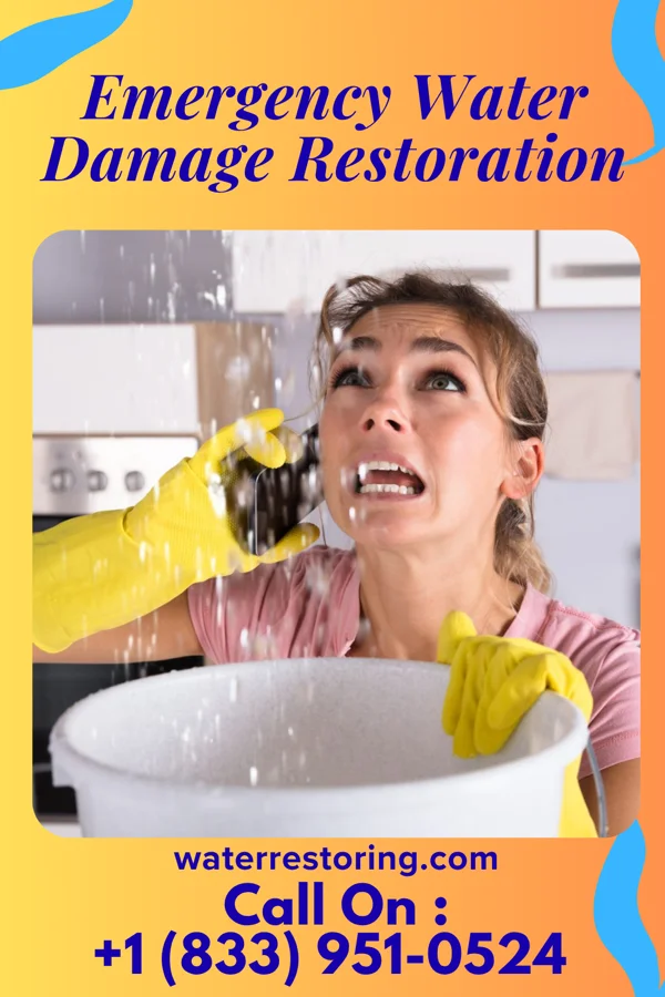 Emergency Water Damage Restoration in Helemano, HI