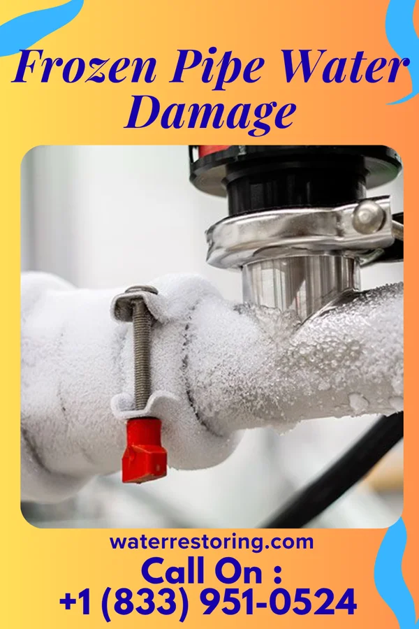Frozen Pipe Water Damage in Helemano, HI