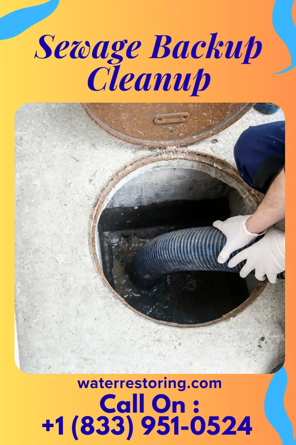 Sewage Backup Cleanup in Helemano, HI