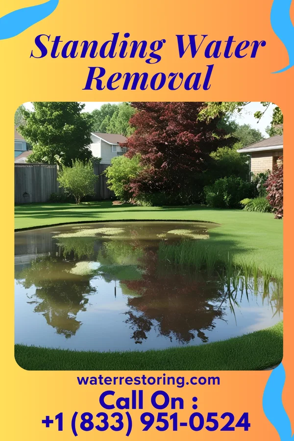Standing Water Removal in Helemano, HI